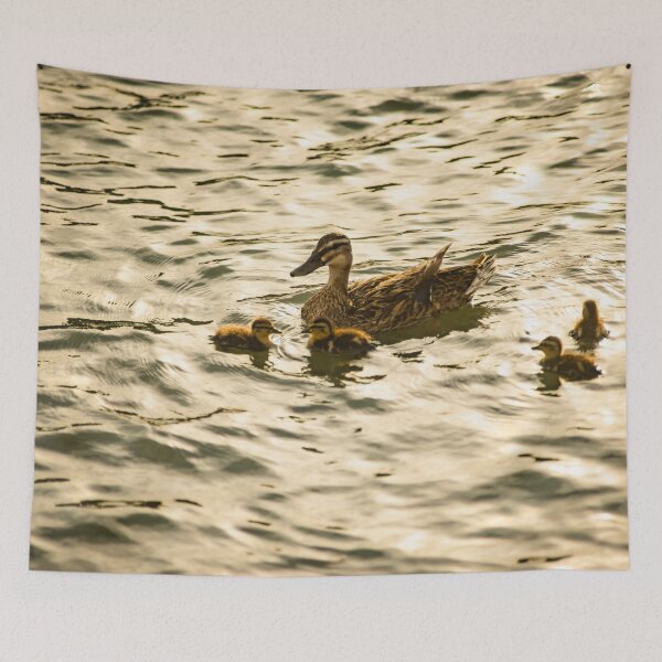 Item preview, Baby Mallard and Mother designed and sold by KensLensDesigns.