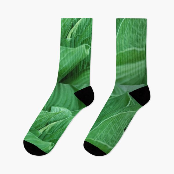Item preview, Green leaf  designed and sold by bonidog.