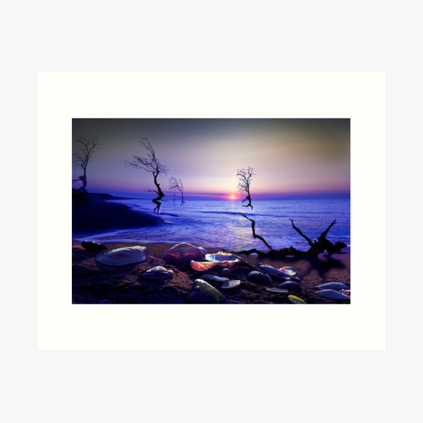 Sunset Run Art Print