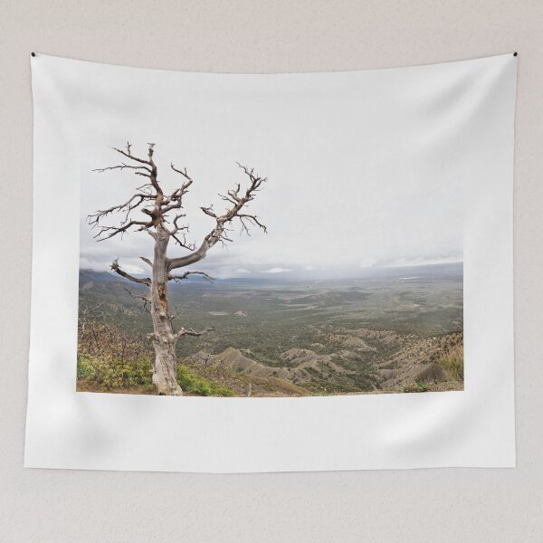 Item preview, Montezuma Valley - Mesa Verde National Park 2 designed and sold by jtrommer.
