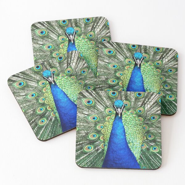 Item preview, Head on Peacock designed and sold by Yampimon.