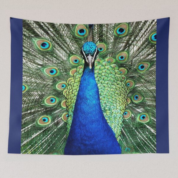 Item preview, Head on Peacock designed and sold by Yampimon.