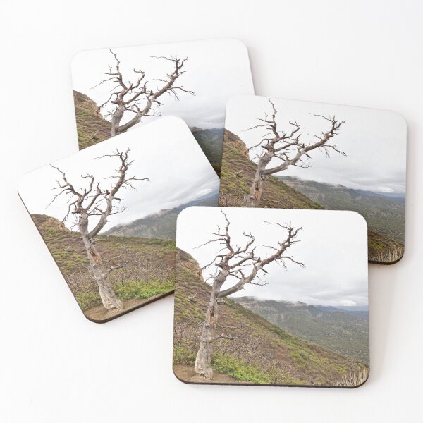 Item preview, Montezuma Valley - Mesa Verde National Park 1 designed and sold by jtrommer.