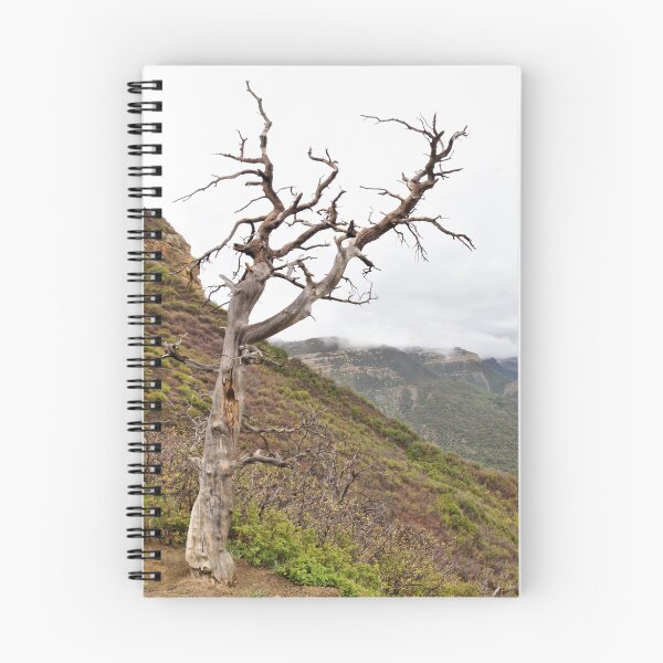 Item preview, Montezuma Valley - Mesa Verde National Park 1 designed and sold by jtrommer.