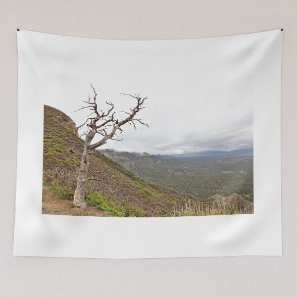 Item preview, Montezuma Valley - Mesa Verde National Park 1 designed and sold by jtrommer.