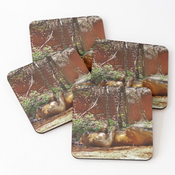 Item preview, Perfect Peace (Red Kangaroo) designed and sold by lezvee.