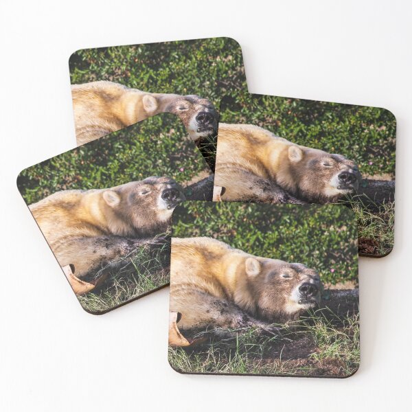 Item preview, Beary Contented! designed and sold by heatherfriedman.