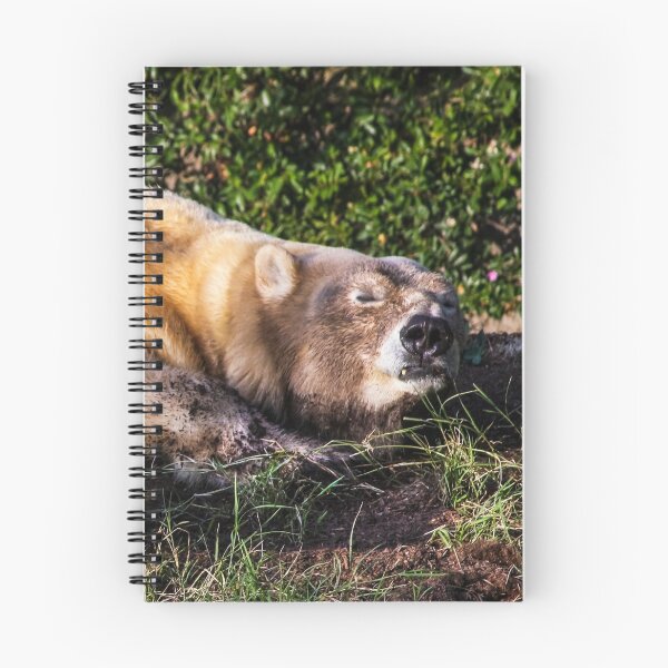 Item preview, Beary Contented! designed and sold by heatherfriedman.