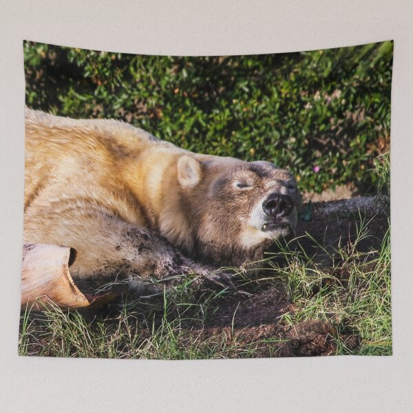 Item preview, Beary Contented! designed and sold by heatherfriedman.