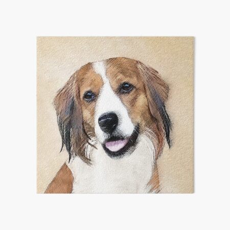 Nederlandse Kooikerhondje Painting - Dog Art Art Board Print