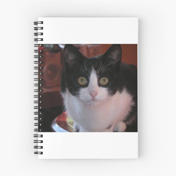 Item preview, Here's looking at you, Kit designed and sold by oinkjames.