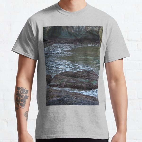TWILIGHT ON THE OLYMPIC PENINSULA Classic T-Shirt
