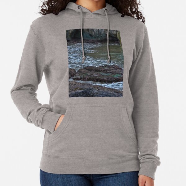 TWILIGHT ON THE OLYMPIC PENINSULA Lightweight Hoodie