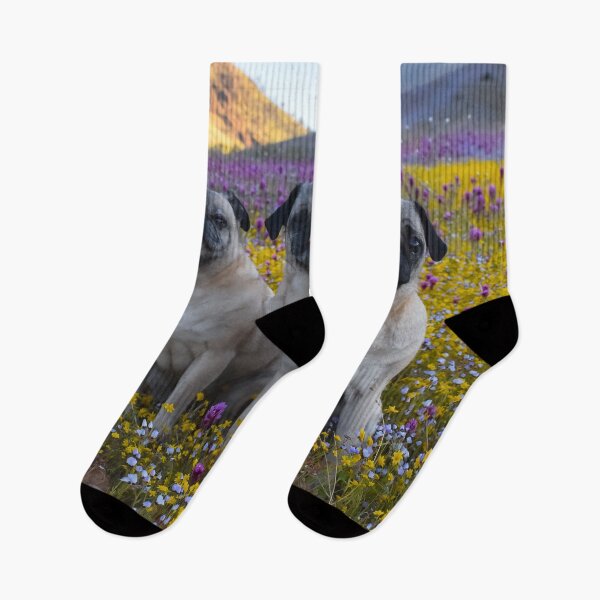 Item preview, The Pug Grumble In Full Bloom designed and sold by pugventurephoto.
