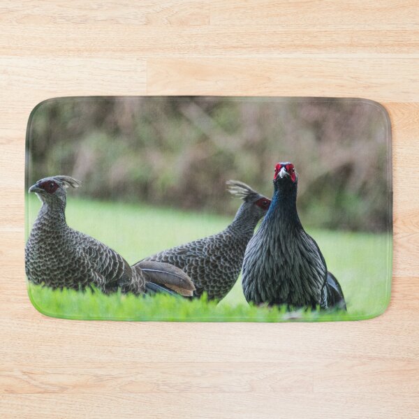 Item preview, ring necked pheasant 3 +3 designed and sold by KensLensDesigns.
