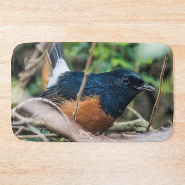 Item preview, White-rumped shama designed and sold by KensLensDesigns.