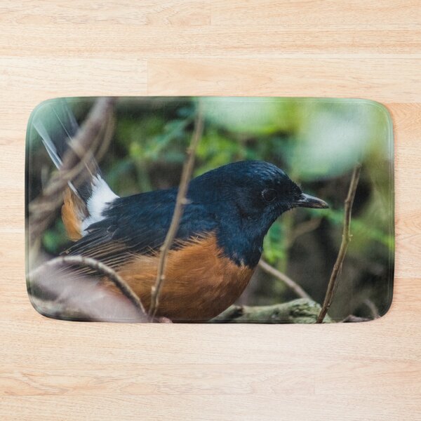 Item preview, white-rumped shama designed and sold by KensLensDesigns.
