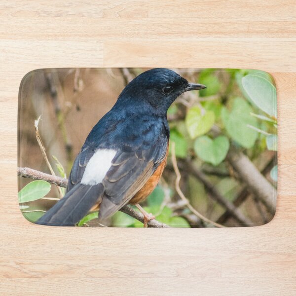 Item preview, White-rumped shama designed and sold by KensLensDesigns.