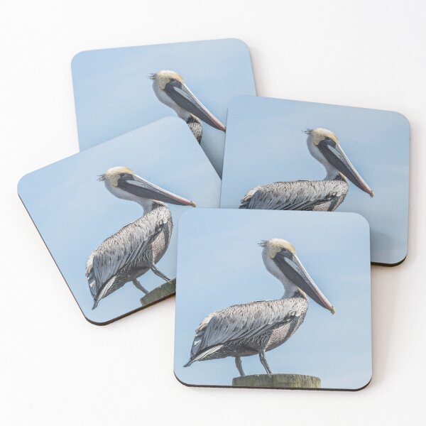 Item preview, Brown Pelican designed and sold by KensLensDesigns.