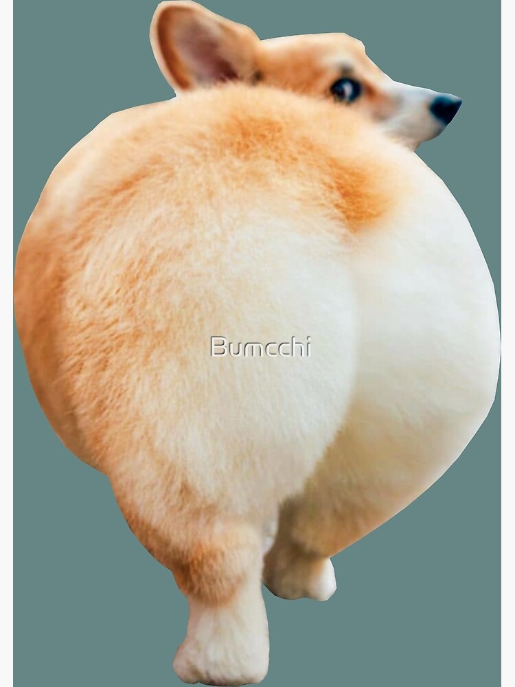 Corgi Butt by Bumcchi