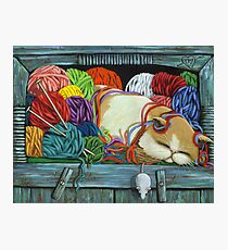 Knitting Vibes - cat portrait oil painting Photographic Print