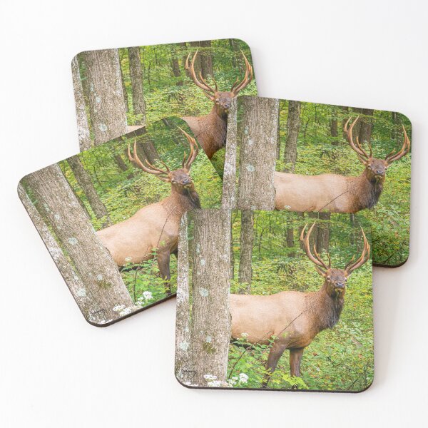 Item preview, Adult Bull Elk in the Pennsylvania Wilds designed and sold by mcrvlife.