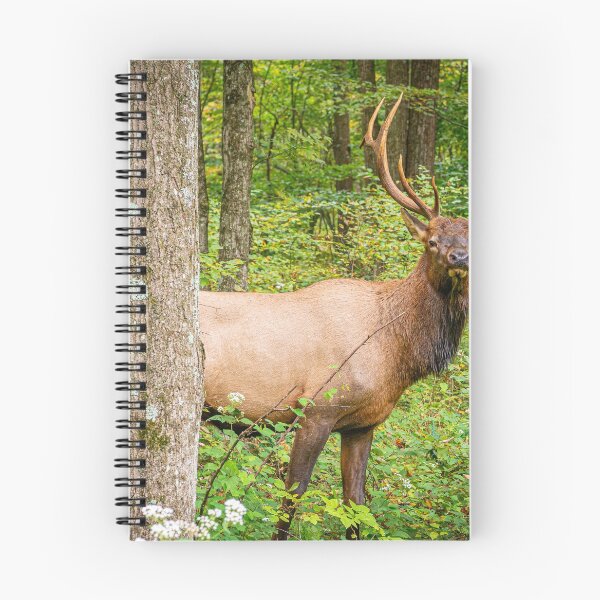 Item preview, Adult Bull Elk in the Pennsylvania Wilds designed and sold by mcrvlife.