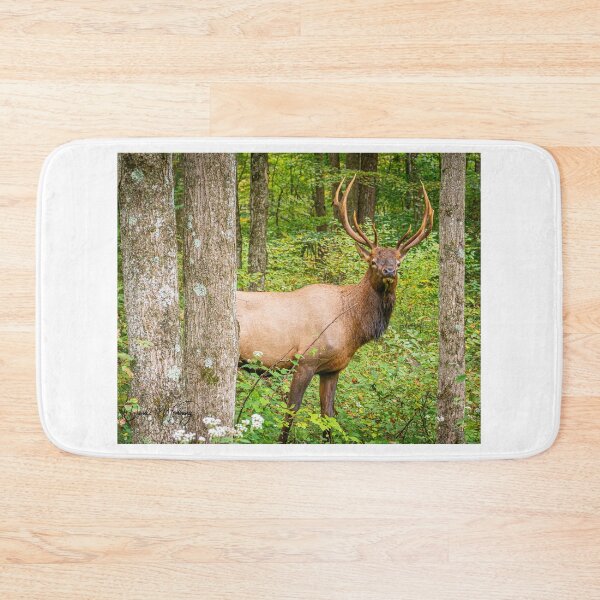 Item preview, Adult Bull Elk in the Pennsylvania Wilds designed and sold by mcrvlife.
