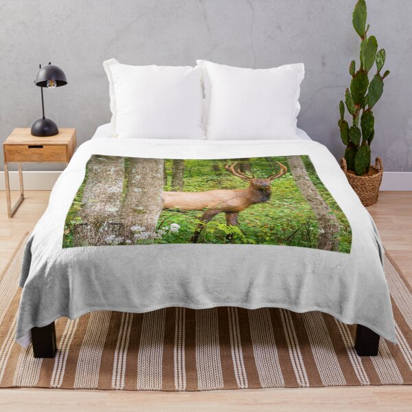 Item preview, Adult Bull Elk in the Pennsylvania Wilds designed and sold by mcrvlife.