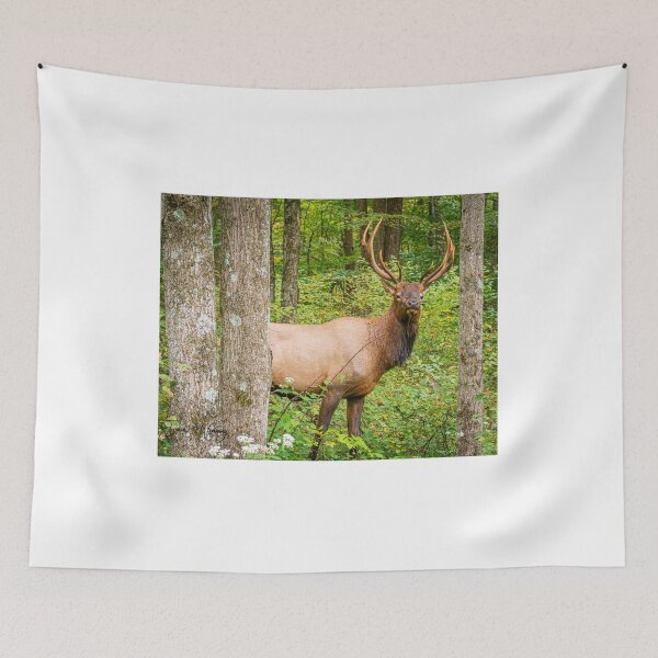 Item preview, Adult Bull Elk in the Pennsylvania Wilds designed and sold by mcrvlife.