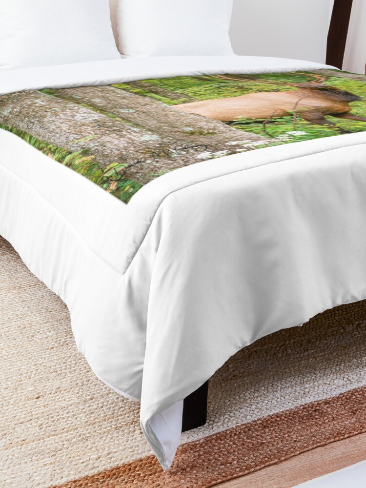 Alternate view of Adult Bull Elk in the Pennsylvania Wilds Comforter
