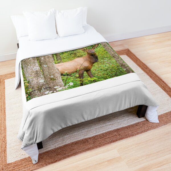 Adult Bull Elk in the Pennsylvania Wilds Comforter