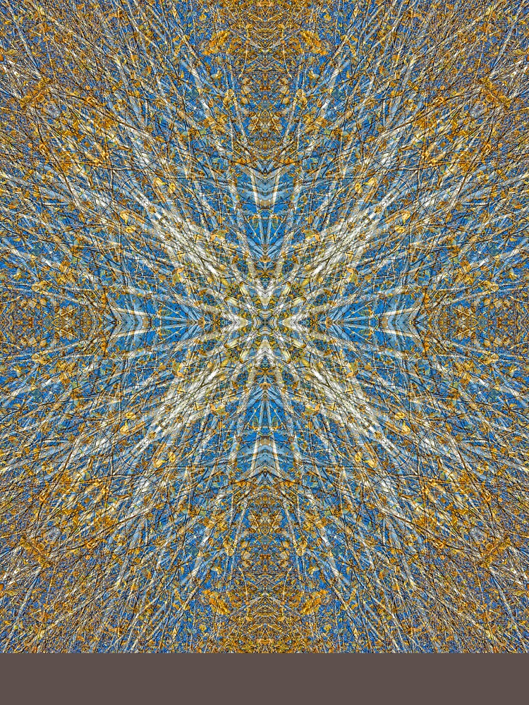 BLUE SKY AND AUTUMN BIRCH TREES MANDALA by JeffBossler