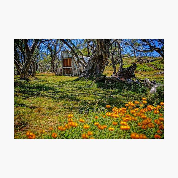 Item preview, Wallace Hut designed and sold by D-GaP.