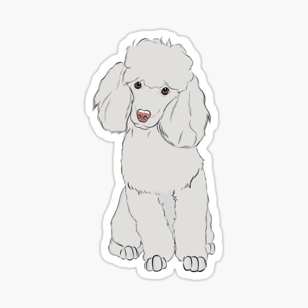 White Poodle Sticker