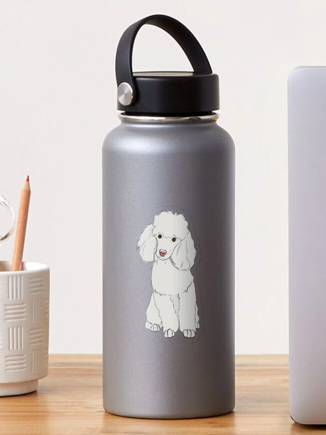 Poodle water bottle sale