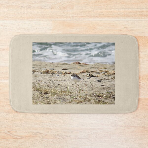 Item preview, Plover on Beach designed and sold by Linda Walsh.