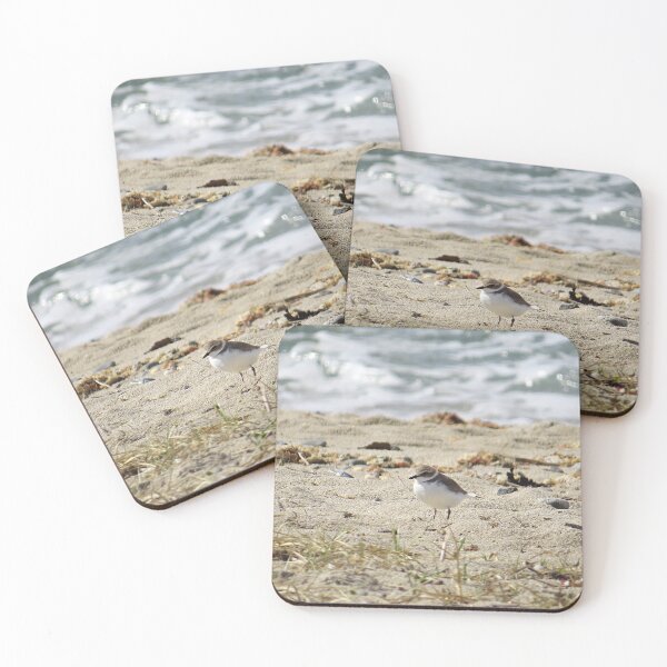 Item preview, Plover on Beach designed and sold by Linda Walsh.