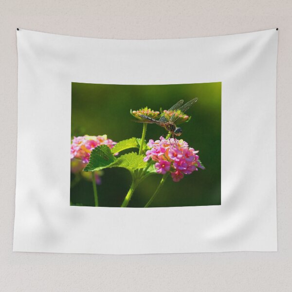 Item preview, Sunshine on My Shoulders designed and sold by Brenda Burnett.