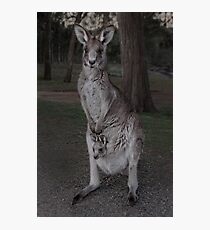 Free Ride Photographic Print