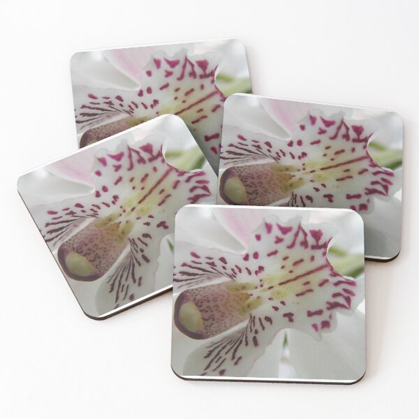 Item preview, White Orchid designed and sold by Jo  Young.