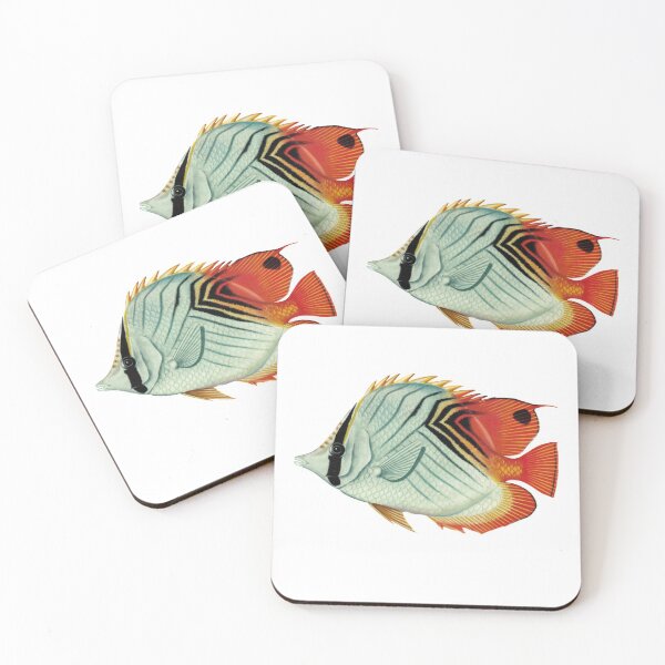 Item preview, Fish Art - Threadfin butterflyfish - Vintage Print designed and sold by Studio66Designs.