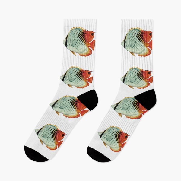 Item preview, Fish Art - Threadfin butterflyfish - Vintage Print designed and sold by Studio66Designs.