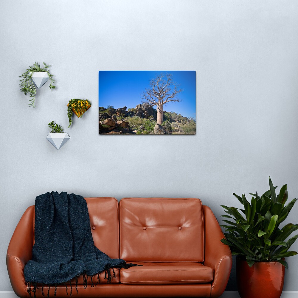 Kimberley Boab Tree Metal Print