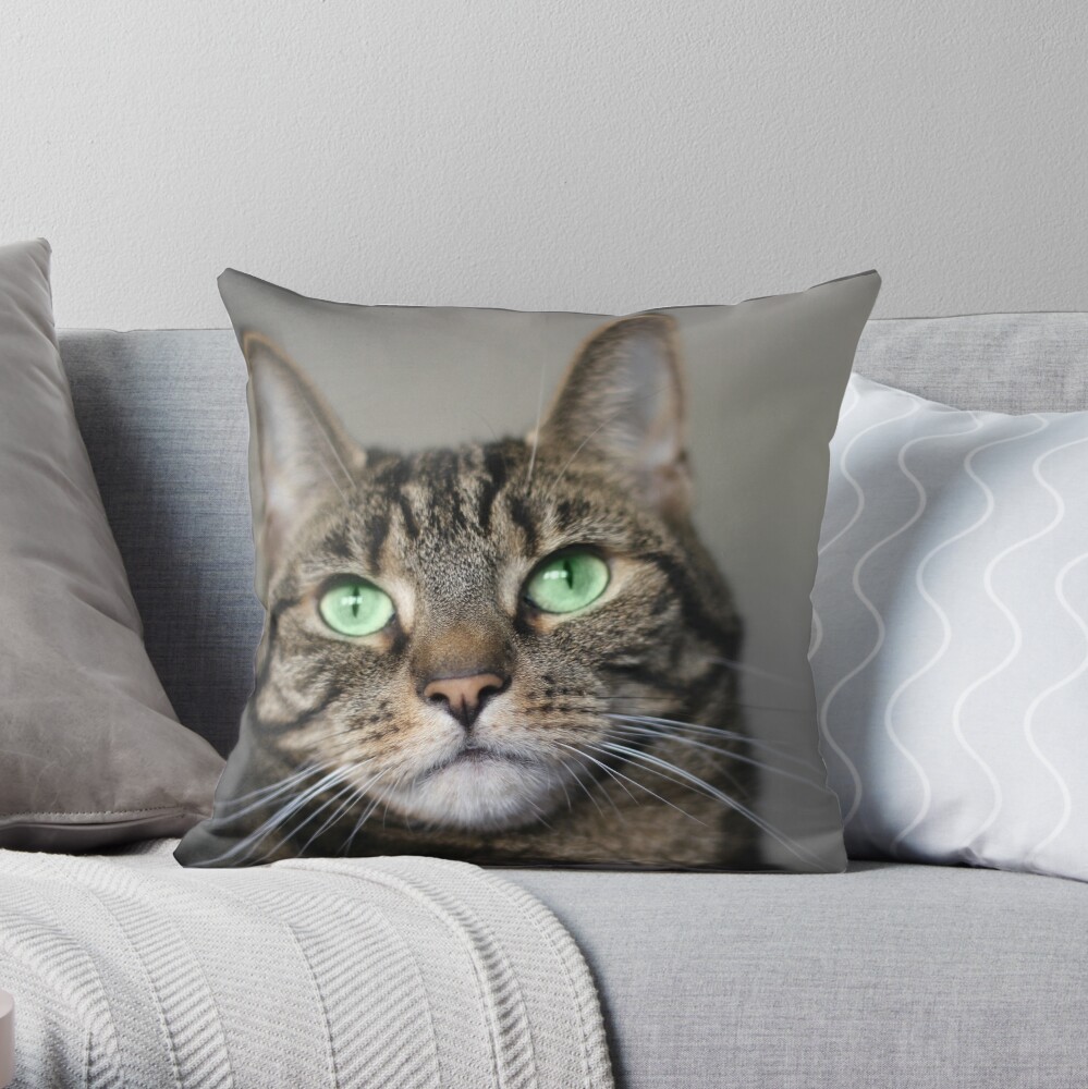 Tabby Beauty Green Eyes Throw Pillow