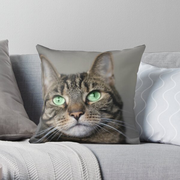 Tabby Beauty Green Eyes Throw Pillow