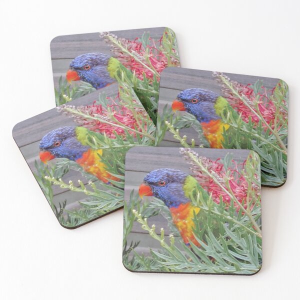 Item preview, Lorikeet designed and sold by Josette Halls.