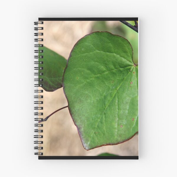 Item preview, Nature's Heart designed and sold by coffeebean.