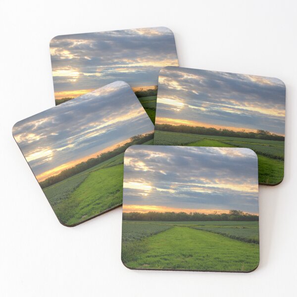 Item preview, Soybean Strip designed and sold by LynyrdSky.