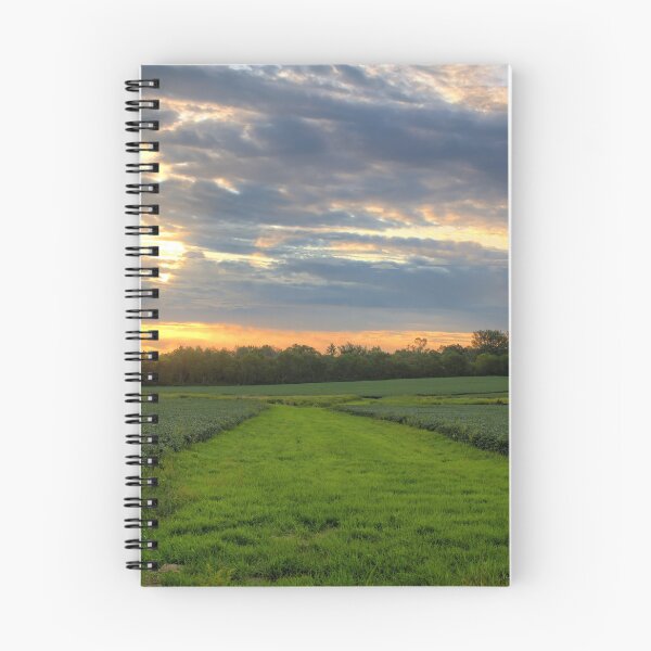 Item preview, Soybean Strip designed and sold by LynyrdSky.